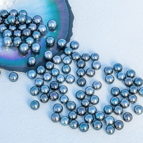 Bouble D'oreille Perle de Tahiti Tama