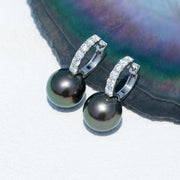 Perle de Tahiti Boucle D'oreille