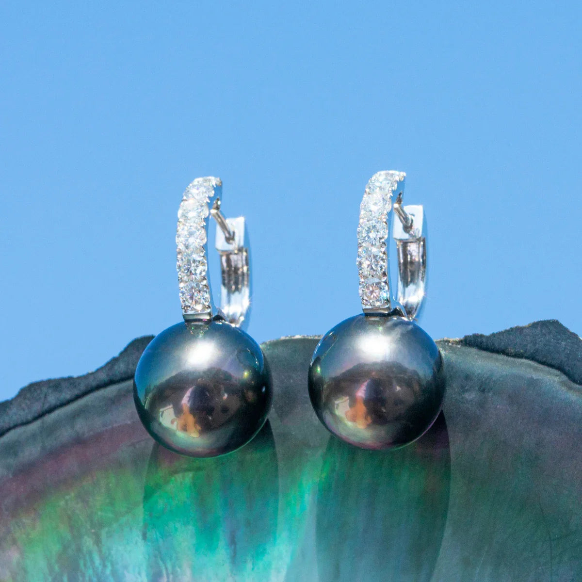 Perle de Tahiti Boucle D'oreille