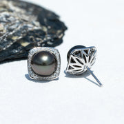 Perles de Tahiti Boucles D'oreilles